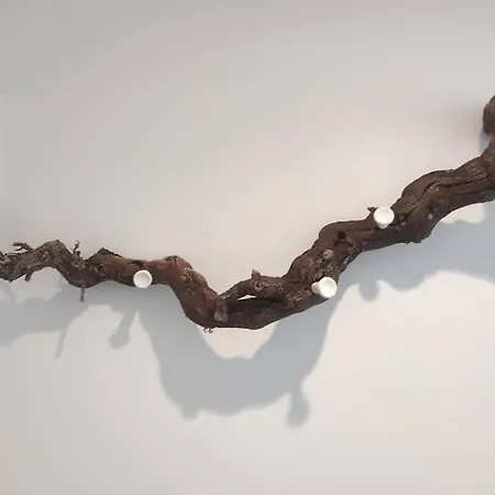 Lägenhet Lepanto2 - En El Centro Gastronomico Y Junto A La Catedral Ourense